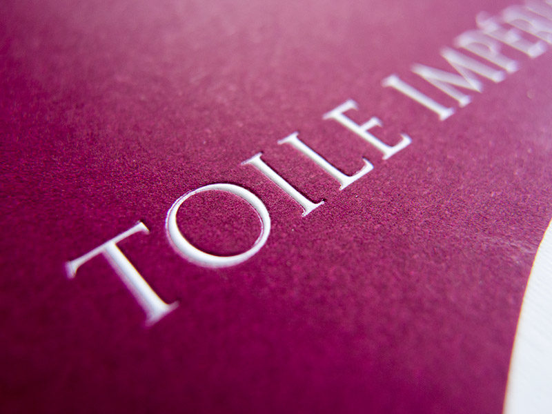 G. Lalo Toile Imperiale Laid Paper Review